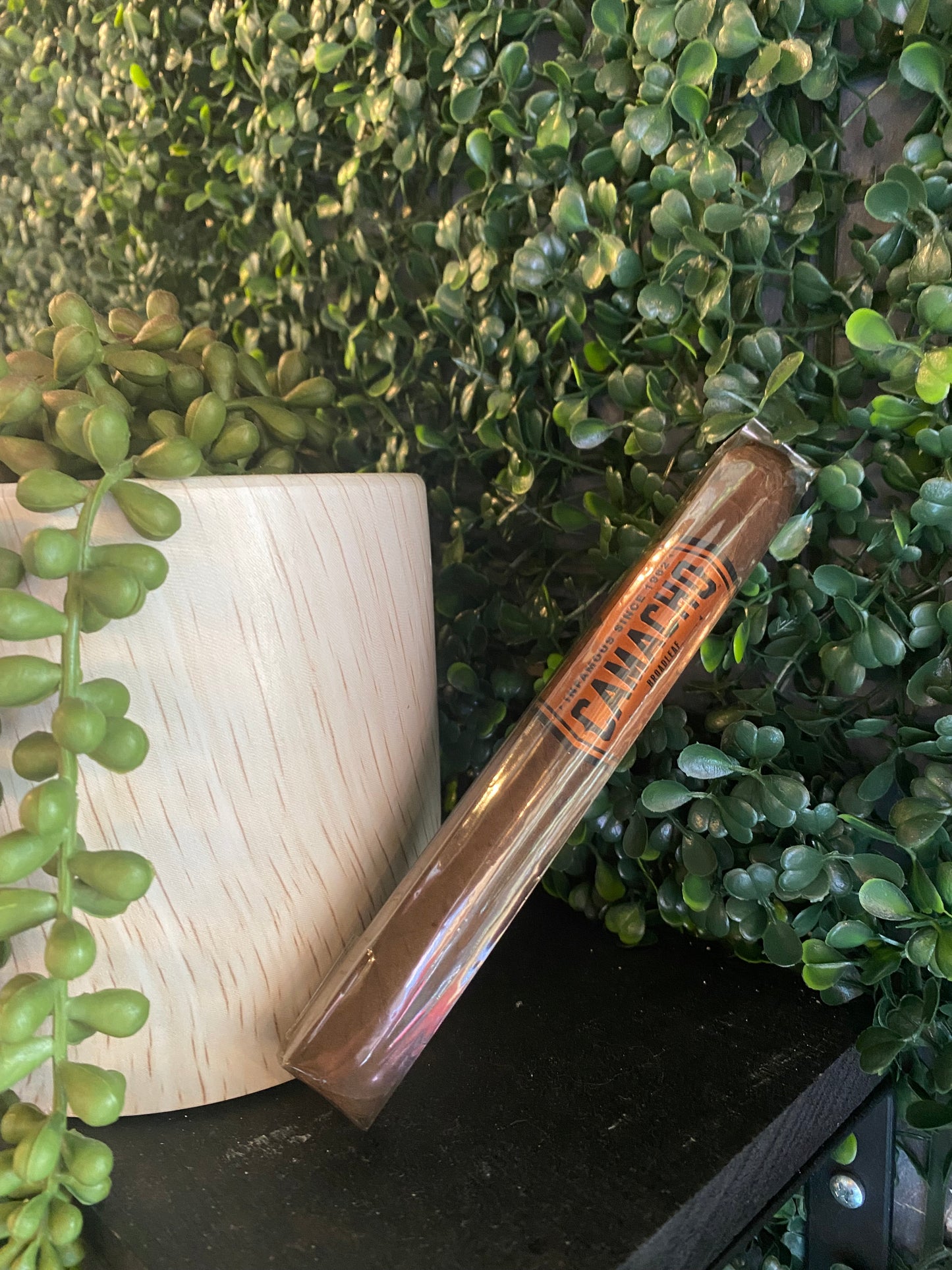 Cigar=Camacho, Broadleaf
